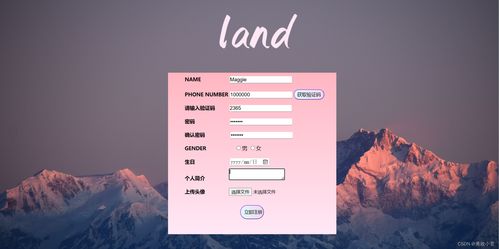 land 网站设计与制作
