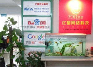桂林培训,桂林电脑培训,桂林网页培训,桂林平面设计培训,桂林3dmax培训,桂林cad培训,桂林室内设计培训 桂林亿星网络科技公司